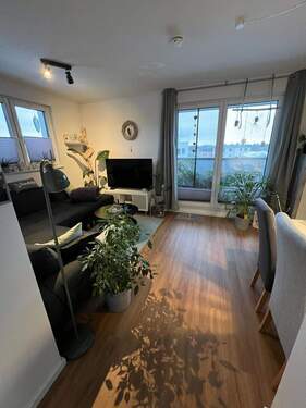 IMG-20260205-WA0011.jpg - 