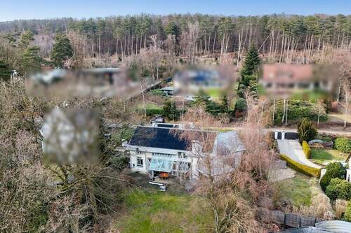 Luftaufnahme Waldrand - 