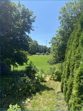 Blick zum Weiher - 