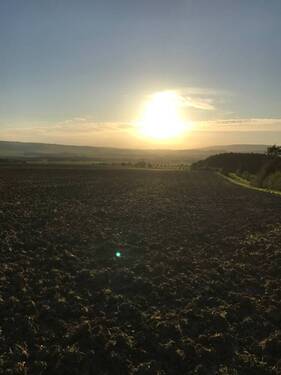 Umfeld - 