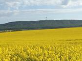 Der Deister - 
