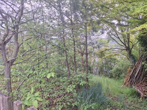 Blick auf angrenzende landwirtschaftliche Fläche - 