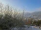 Panorama im Winter - 