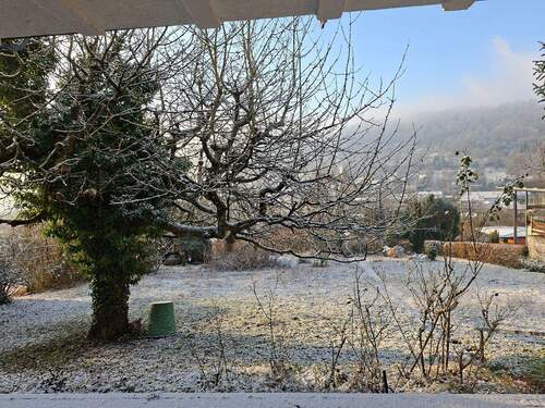 Blick über die zu bebauende Fläche - 