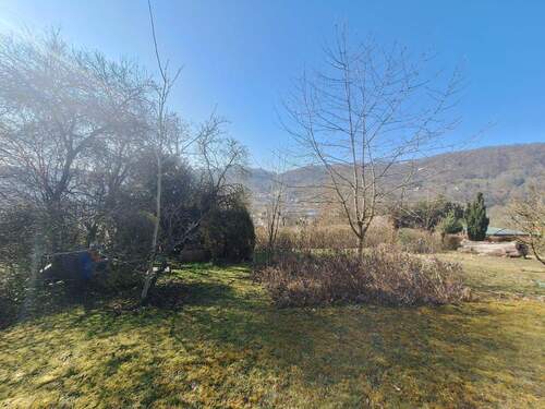 Südhang Grundstück - 