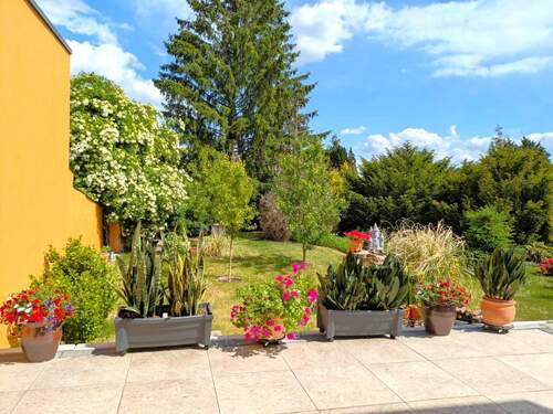 Blick auf die Terrasse - 