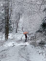 Winter im Deister - 