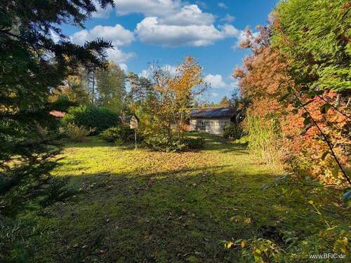 IMG_9845 - Bungalow, unterkellert, in Zühlsdorf bei Oranienburg