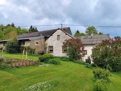 Rückansicht mit Garten - 5 Zimmer Bauernhaus, Landhaus zum Kaufen in Schwirzheim