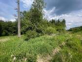 Straßenansicht - Grundstück in Wildflecken zum Kaufen