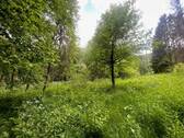 Bewuchs - 