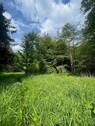 Bewuchs - 