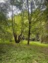 Bewuchs - 