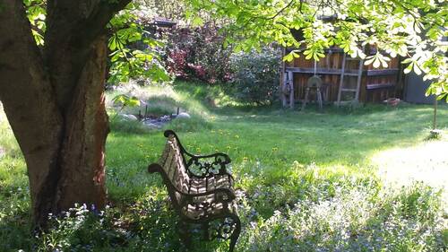 Frühlingsimpression - 