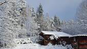 Winterimpression - 