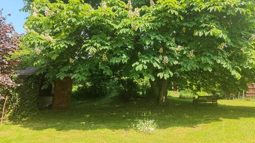 Sommerimpression - 