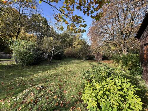 Herbstimpression - 