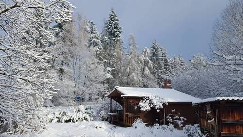 Winterimpression - 