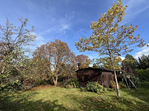 Baumbestand - Grundstück in Burgthann / Unterferrieden