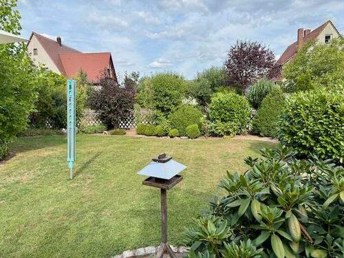 Rasenfläche vor der Terrasse - 