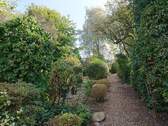 Blick in den Garten - 