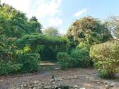 Terrasse mit bewachsener Pergola - 