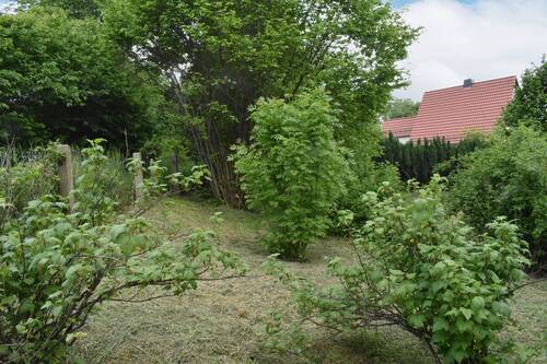 Außenansicht - Grundstück in Pulsnitz