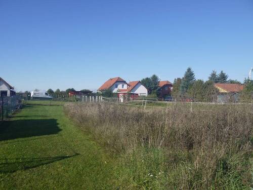 Bild5 - 
