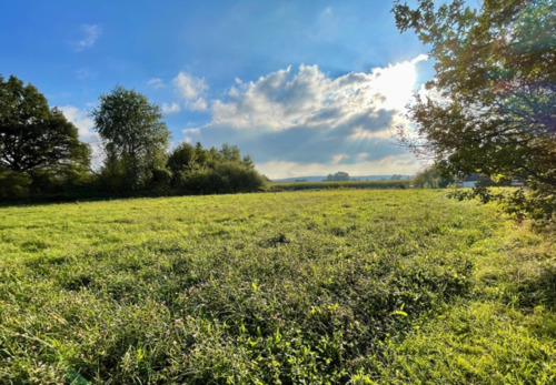Bild 4 - Grundstück in Messenkamp zum Kaufen