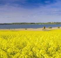 Komplettes B-Plangebiet in Ostseenähe - Nordwestmecklenburg - Landkreis - Dassow Kaltenhof