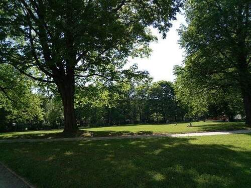 Park - Etagenwohnung mit 43,00 m² in Chemnitz zur Miete