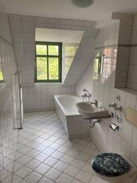 PHOTO-2023-07-19-11-25-08_1 - 