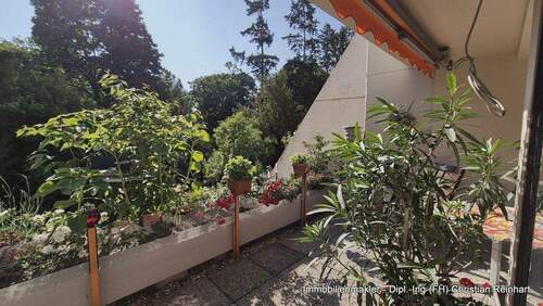 2 Terrasse (2).jpg - 