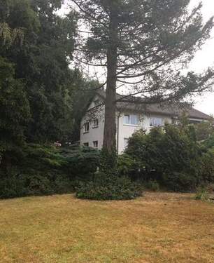 Bild 3 - 1 Zimmer Mehrfamilienhaus, Wohnhaus in Kaiserslautern