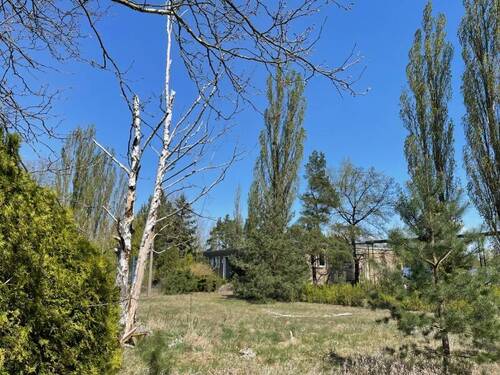 Nebengebäude auf Nordost (2) - 