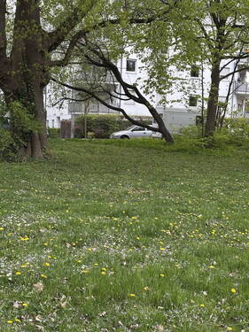 Blick vom Lech zur Wohnung - 