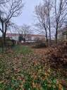 Garten (hinter dem Haus) - 