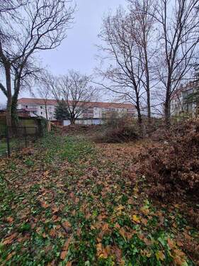 Garten (hinter dem Haus) - 
