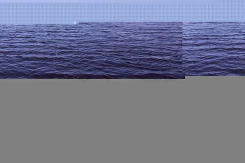 Blick auf Grieben_ Hiddensee - 