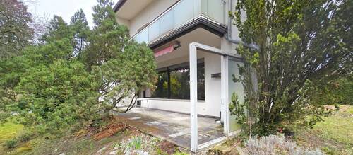 Terrasse - Frankfurt am Main Diplomatenviertel - Einfamilienhaus oder Baugrundstück