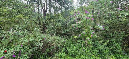 Ansicht - Grundstück in Bestensee