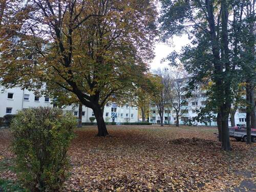 IMG_20251106_125223.jpg - 