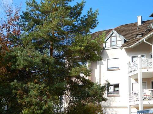 Bild3 - 3 Zimmer Etagenwohnung in Gottmadingen