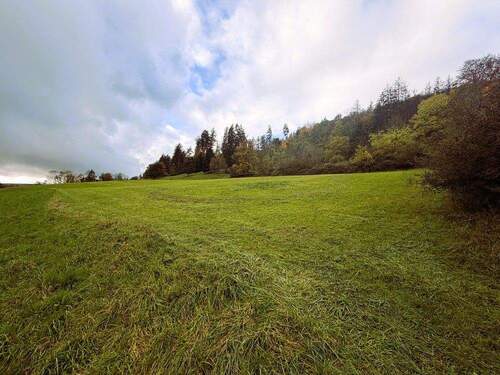 Bild 2 - Grundstück zum Kaufen in Weißenburg Oberhochstatt