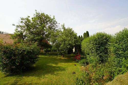 Bild2 - Grundstück zum Kaufen in Schkopau-Hohenweiden