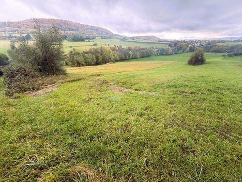 Bild 1 - kleine WIESE Nähe Weißenburg OT Niederhofen Gänswirtshaus