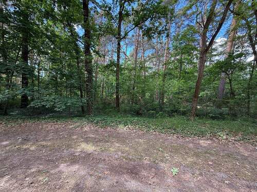 Blick auf das Grundstück - Grundstück in guter Lage in Bad Saarow Strand - als Investition