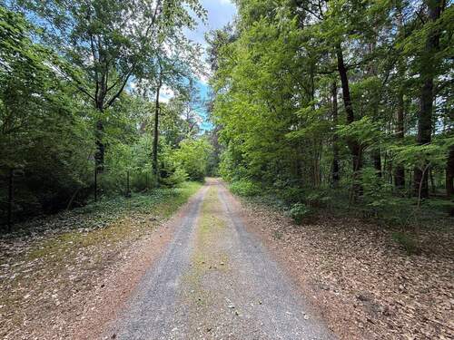 Nymphenstraße - Einfamilienhaus in Bad Saarow zum Kaufen