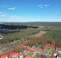 Investoren und Bauträger aufgepasst! Großes Grundstück zur individuellen Nutzung - Nittenau Bergham