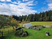 Blick in den Garten - 1 Zimmer Einfamilienhaus in Kirchberg im Wald / Raindorf